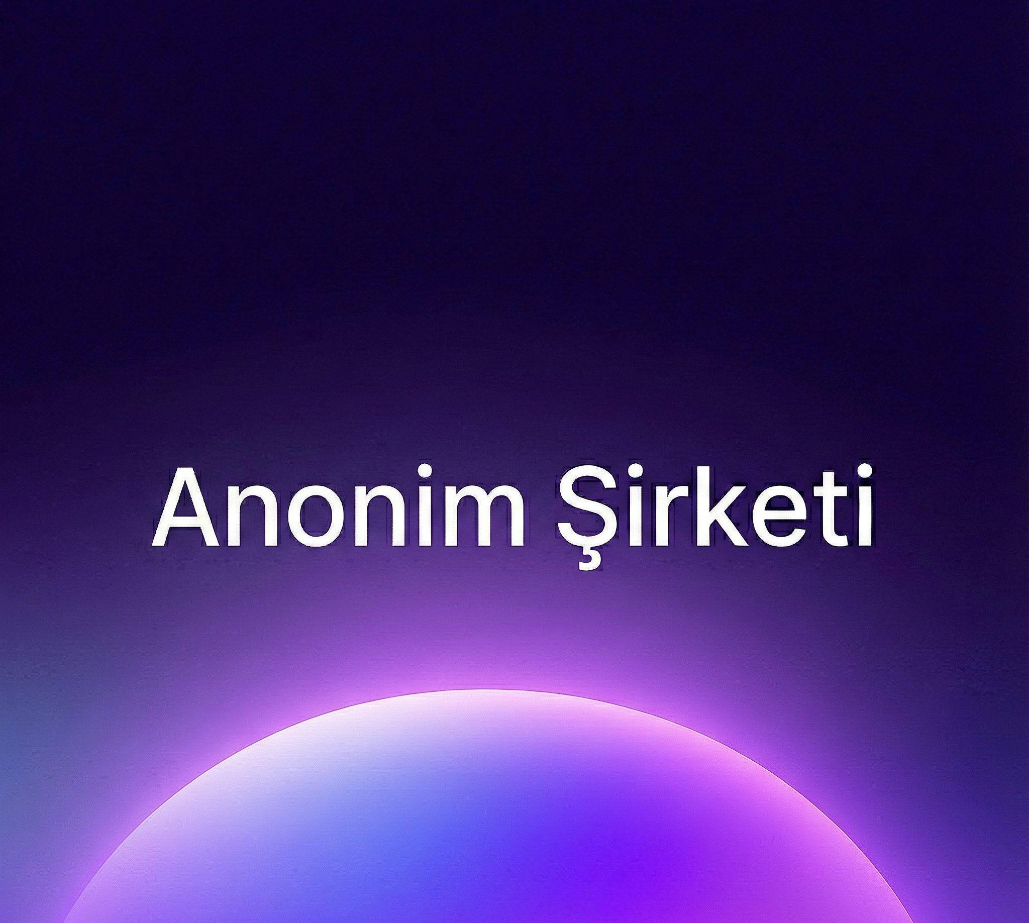 Anonim Şirketi